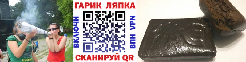ГАШ Изолятор  гидра онион  Александров 