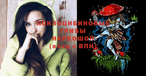шишки Кулебаки