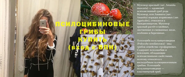 эйфоретик Абинск