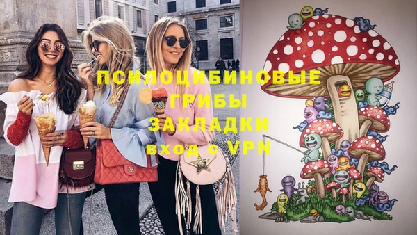 прущий лед Абаза