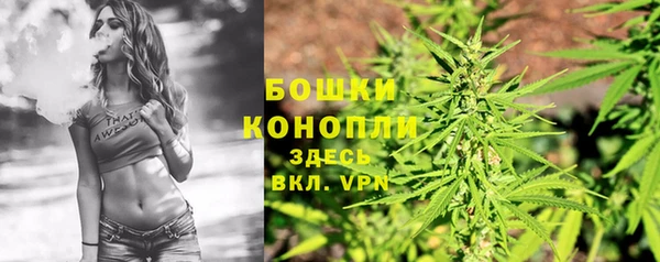 прущий лед Абаза