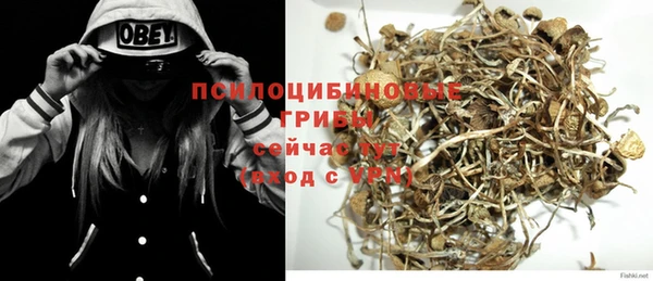 прущий лед Абаза